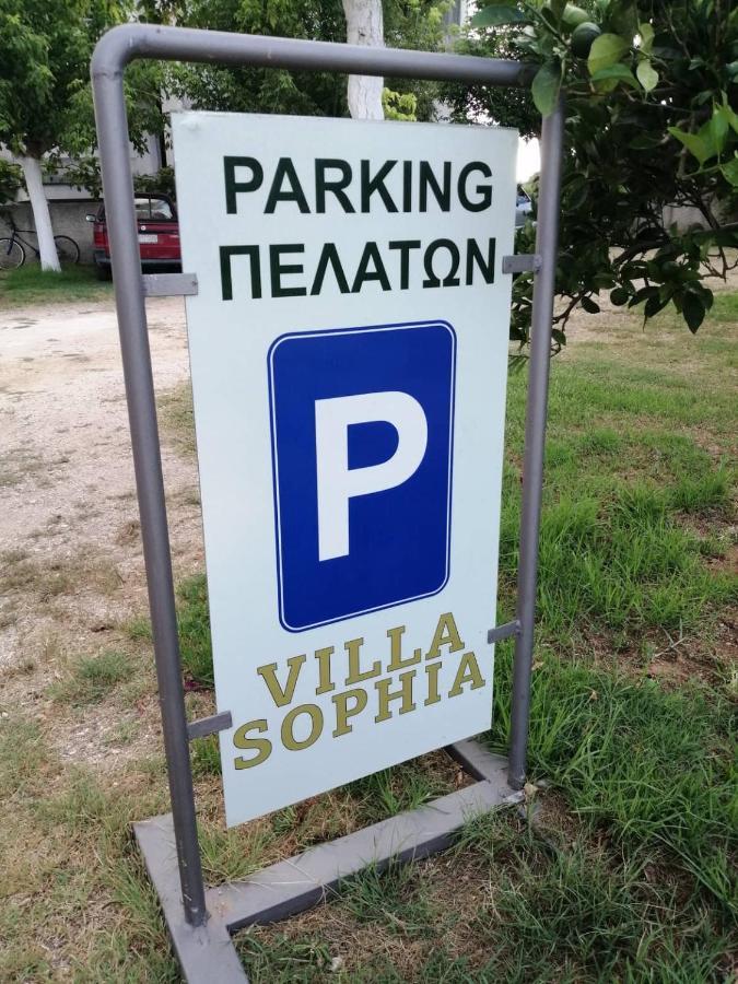 Villa Sophia Митикас Екстериор снимка